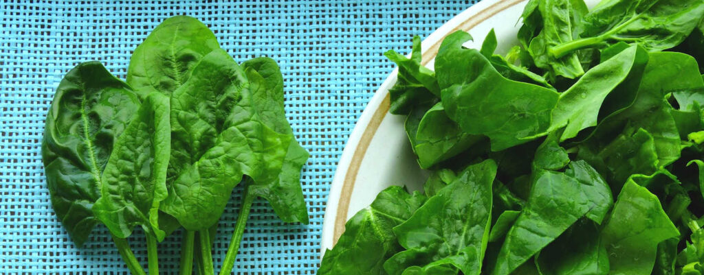 Fresh Spinach leaves on a table with blue cloth.