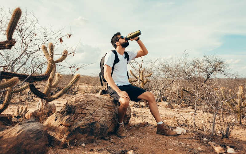 A hiker sitting in a fallen tree trunk drinking water.