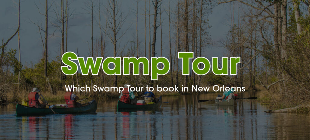 Groups of people on tube boats touring swamp.