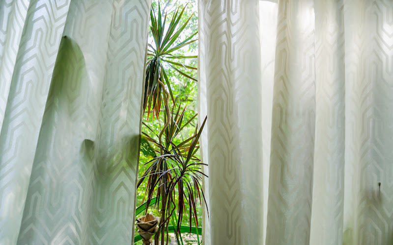 Palm trees showing behind sheer white curtain by the patio door