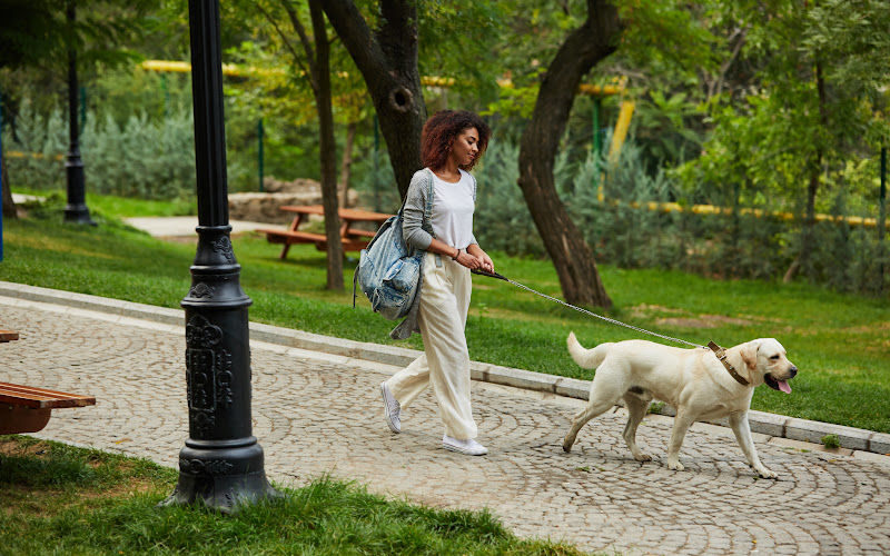 A woman is walking in the park with a dog