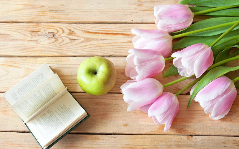 A flat lat of opened book, green apple, and pink tulips