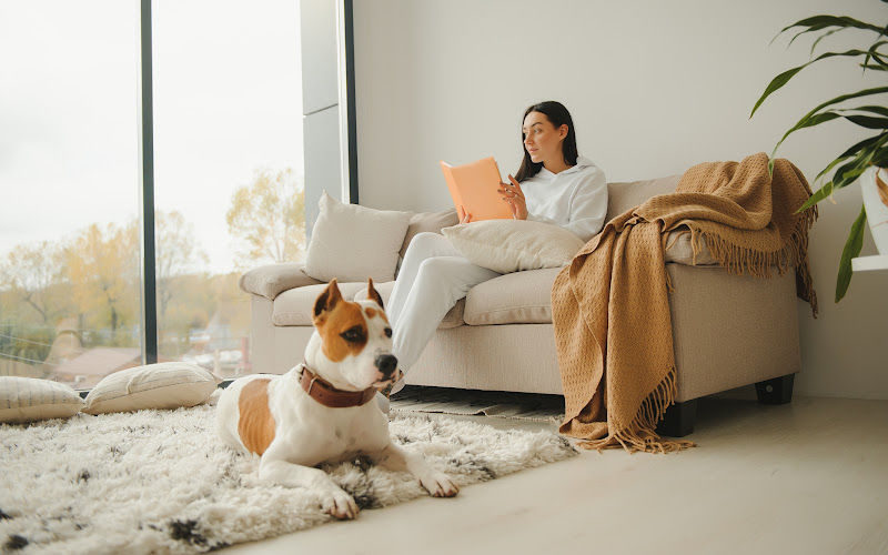 A woman sitting on a sofa and a dog sitting on a carpet