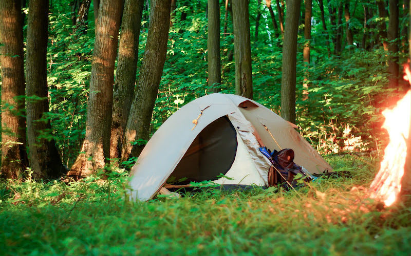 A tent in the woods