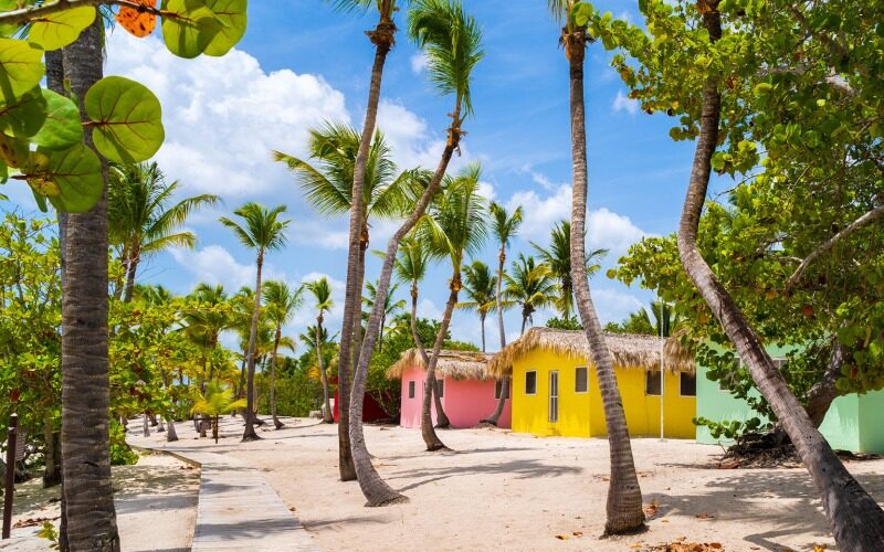 Colorful beach houses and palm trees on a sandy beach area.