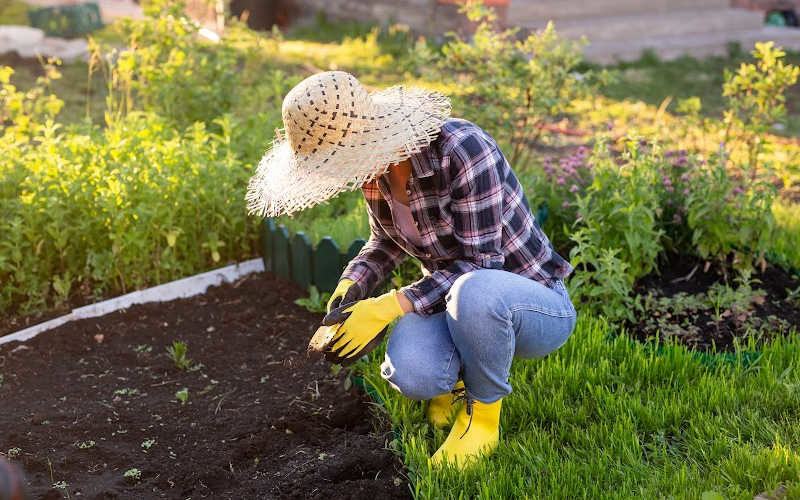 A woman is working on a garden area