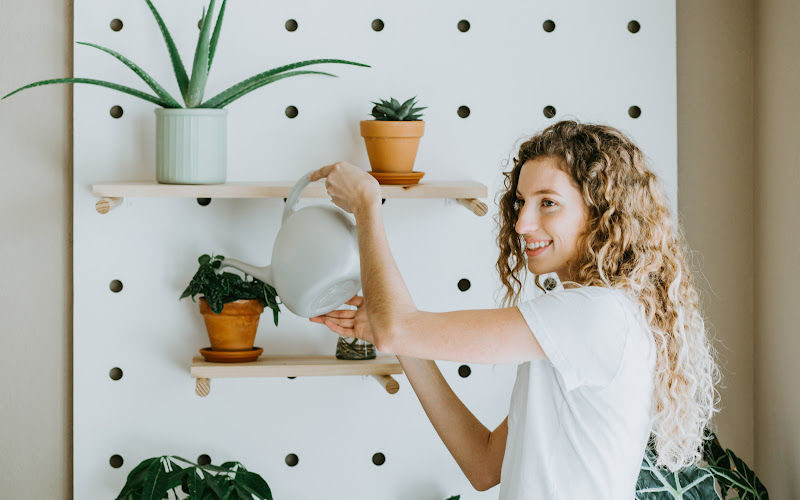 A woman putting a small planter on the wall shelf