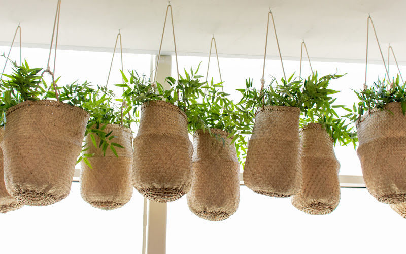 A bunch of plants hanging by the window in burlap bags